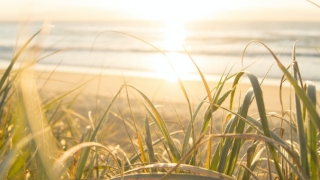 渡亡能做几次,化解对亡灵的意义