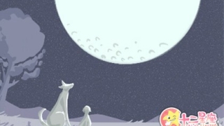 冲太岁是迷信吗，犯太岁有多少种表现？