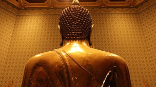 一定要做超度去世亲人法事,否则变成冤亲债主