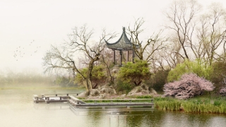 旺运秘法可以化解人到中年之后事业不顺