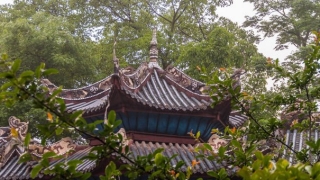 婴灵超度后母亲反应超度多久见效