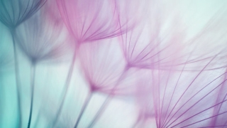 久病不愈对医院生恨，这是因为因果业障