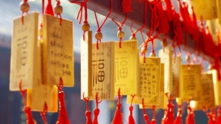 催婚科仪帮你催旺姻缘 让你摆脱单身