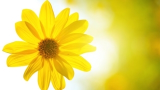 还阴债多久起效果,怎么知道还阴债是否成功