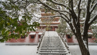 辟邪符咒帮你赶走妖魔鬼怪，保护你的平安