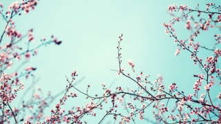 生活中常用三种正确应对犯太岁之法