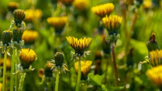 婴灵投胎的过程，需要有人超度才能送走