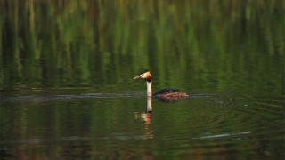 改运气最快的改阴债，让你的人生从此开挂