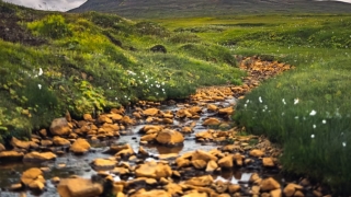 堕胎后孩子会跟着谁 男女方都会被报复