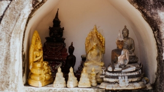 为什么属虎的女人财运差,一个人的财运为什么会差