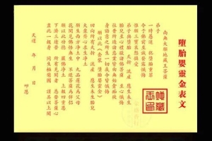 怎么给堕胎婴灵超度-如何超越堕胎精神