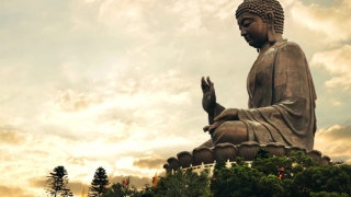 因果报应全解大全，详解何为因果报应