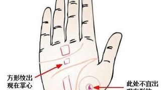 手掌财库纹，这样的人大多财运亨通事业顺，身边也会多贵人相助