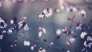 人死之后投胎的过程，超度让亡灵更快转世