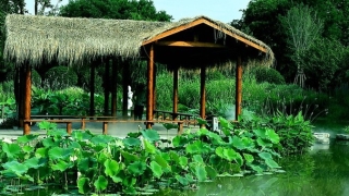 灵婴 会找父亲吗,婴灵对男人的影响