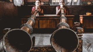 属蛇的近断时间财运怎么那么差,属蛇2022年下半年运势詳解