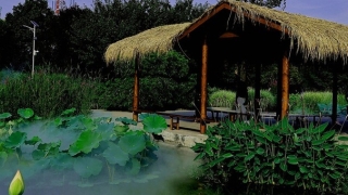 怀孕多久打掉是婴灵,不仅打胎会产生婴灵