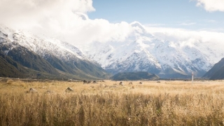 总是做噩梦说明了什么,卧室布局问题要排除