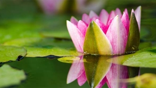 道教超度咒，让去世之人能赶紧转世