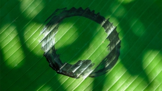 超度婴灵不建议大家写牌位，给婴灵供奉牌位不