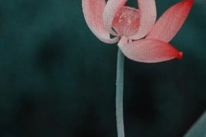 还阴债价格一般多少钱呢?