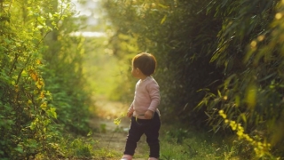 小孩投胎转世很不容易，堕胎之后一定要超度