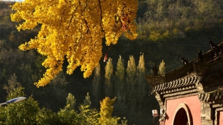 做法事超度亡母往生善道,是我们表达孝心的一