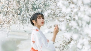 那些成功挽回婚姻的人 是使用和合法事这种方法