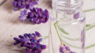 八字无财无财运