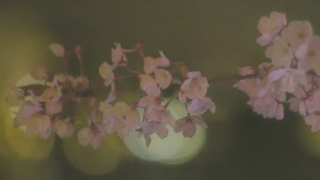 怎么送婴灵进行渡亡转世,渡亡婴灵的流程很重要