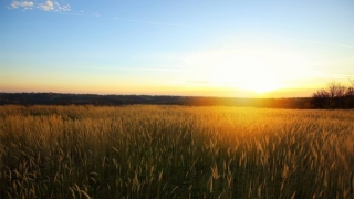做完超度婴灵后回家禁忌,一般会有哪些