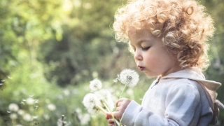 道家堕胎婴灵做超度后第二天的感应