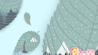 什么花可以招桃花运 要摆放在哪里