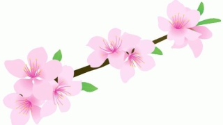 看易经风水如何教你斩断烂桃花