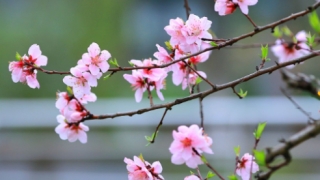 民间求姻缘很灵验的方法有哪些