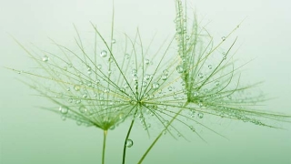 你不知道家里最简单的辟邪东西