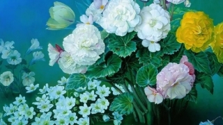 以玉辟邪效果很好,不知道为什么玉能辟邪的赶紧来看