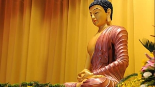 堕胎之后化解之法，这是超度婴灵的最佳时间