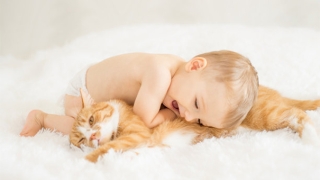 烟供食子香，想富贵消灾多做烟供