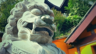 民间招财转运秘法，想要家里招财转运看这里