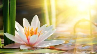 道家超度亡灵文疏，快速帮助你转运