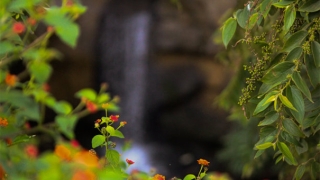 作恶之人终会有报应，做了坏事，小心为上