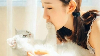 婚姻和合符去哪儿找 如何摆脱单身之法分享