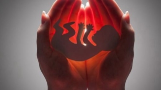 打掉三个孩子罪孽深重，要遭天谴