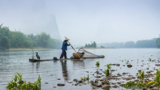 清明烧纸有规矩，你一定不要乱烧了