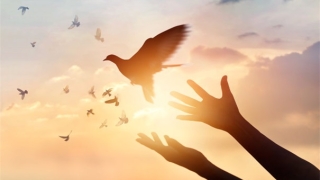 道教斩烂桃花,让你们恩爱如初