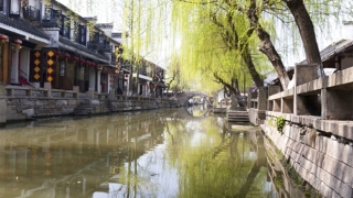 阴债妖夫，阴债不还，婚姻难成，爱情之路困难