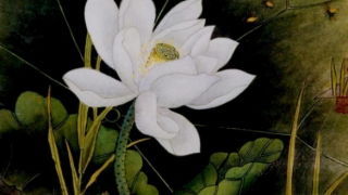 大师教你超度婴灵回向方法