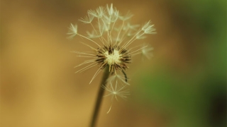 堕胎后婴灵跟着的征兆,专业大师教你超度婴灵