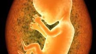 女性堕胎的果报 灵婴一直在身边纠缠